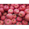 Round Fresh Cheap Fuji apple